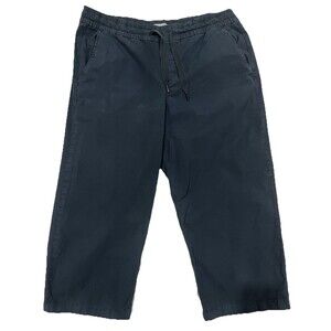 LL Bean Dusty Blue Cotton Cropped Pants Drawstring Elastic Waist Medium Petite